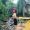 Pungstory