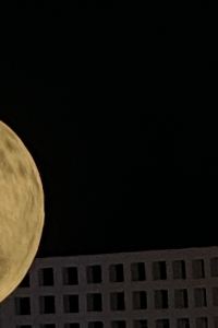 ทานตะวันหลงใหลหลอดไฟ 芭達雅喬木提恩B2飯店優惠