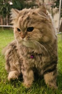 訪客用戶 新大田H大道飯店優惠