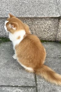 訪客用戶 青島金沙灘希爾頓飯店優惠