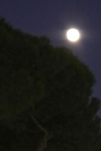 평생여행하고싶다