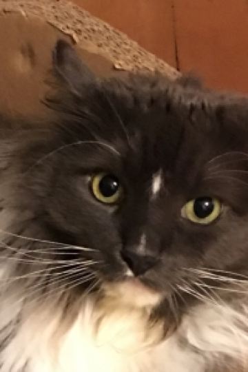 BB409 中山保利艾美酒店優惠