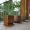 room6