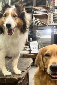 大頭tiny 那霸歌町大和ROYNET飯店優惠