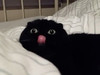 530
