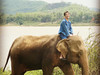 SHO_travel