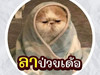 ดินสอสี