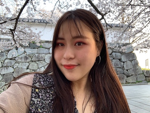 Statue of Liberty Tokyo Travel Travel Guide