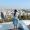 Cinna_travel