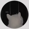 Avatar 1