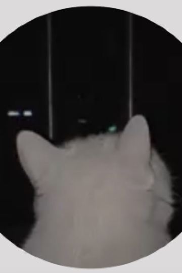 infj.jpg 深圳大梅沙京基洲際度假酒店優惠