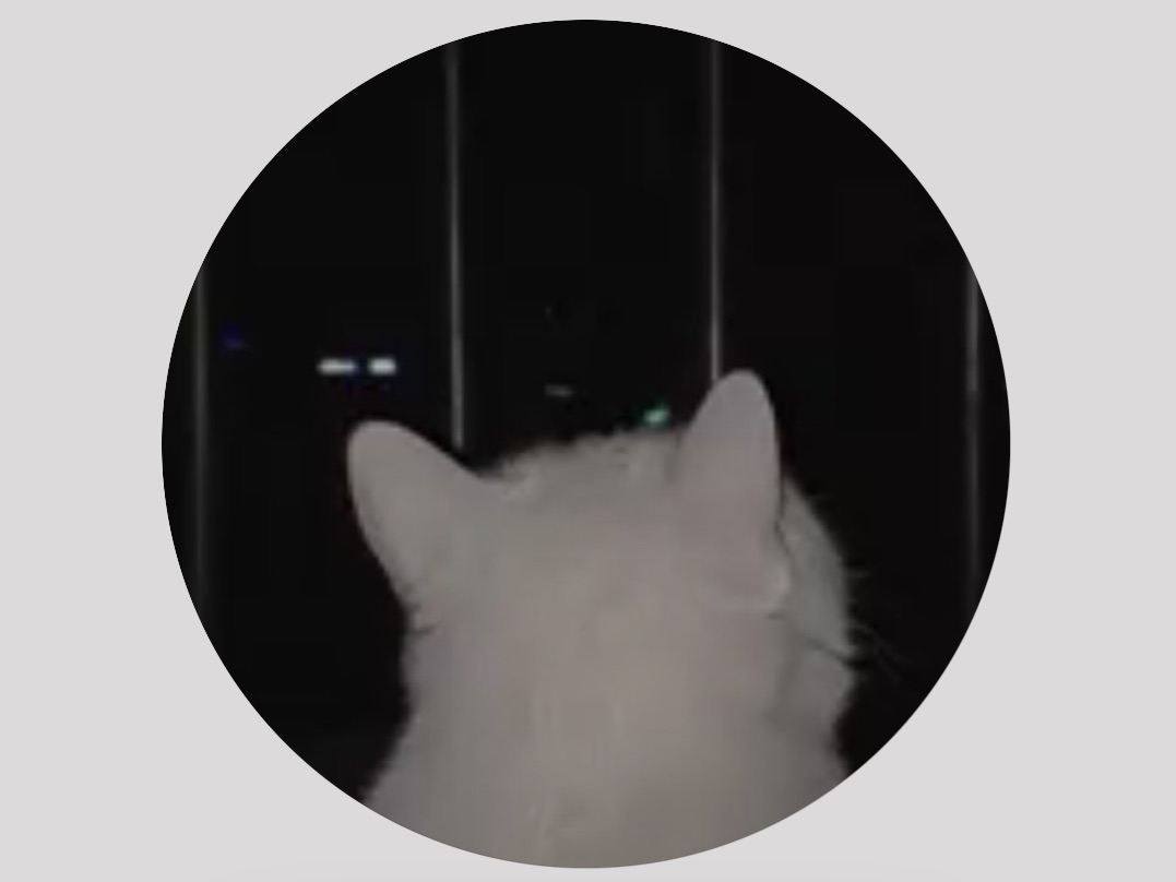 user-avatar