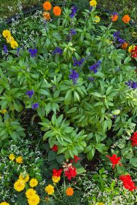 love.joy.peace 苫小牧舒適飯店優惠