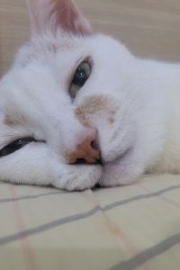 課日 福泰翡翠灣渡假飯店優惠