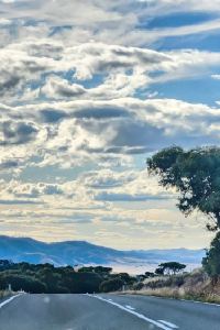 NLK90 布里斯班機場鉑爾曼飯店優惠