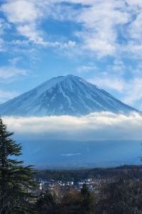 SamSamT 深圳東門凱悦嘉軒酒店優惠