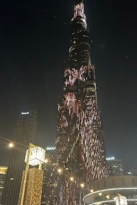 로니로니로