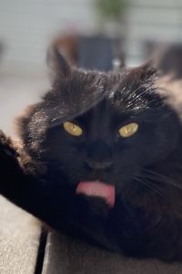 MOKOCHATO 相鉄フレッサイン 横浜桜木町 クーポン