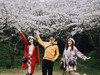 hello 365 days review