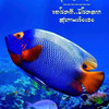 เที่ยวทุกที่ เพลินทุกวัน