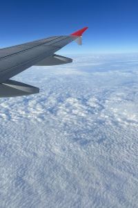 C.Siu 潮騒リゾート鴨川 クーポン