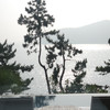 korea lee
