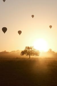 Wanderlust_176 曼谷千禧希爾頓飯店優惠