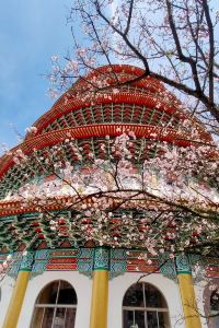 張瑋玳 豪城商旅民生館優惠