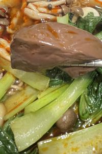 にゃんたーい あきた芸術村　温泉ゆぽぽ クーポン