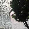 Avatar 2