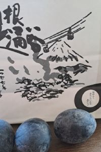 Cheese-cake 豪華カプセルホテル 安心お宿プレミア名古屋栄店 クーポン