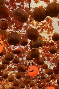 Max$ 香港皇悅卓越飯店（尖沙咀店）優惠