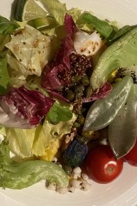 大咪咪的奇幻旅程 台北丹迪旅店-天母店優惠