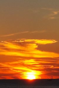 제주 나그네 金巢飯店優惠