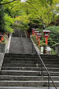 よっしーのこ アルモニーアンブラッセ大阪 クーポン