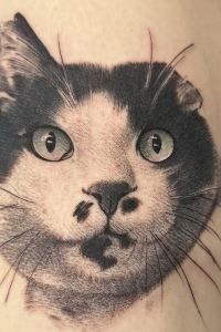 Koron Sei 高山グリーンホテル クーポン