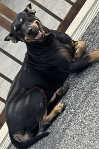 VYP 河內calido飯店優惠