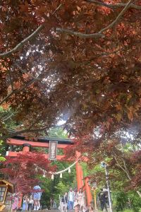 Maple story88 ＳＡＹＡ　Ｓｕｉｔｅ岸里 クーポン