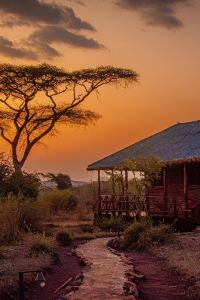 CWtong 南投清境空中花園優惠