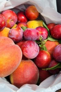 訪客用戶 怡保彩鴻飯店優惠