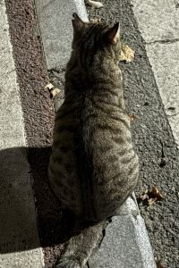 よよよんよよよ 路境行旅-花蓮大同館優惠