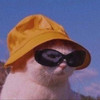 Mkoalko