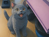 Jacky_1210