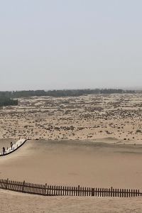 Rob010819 博法巴薩克精品酒店優惠