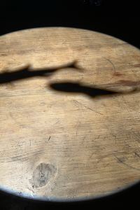 T-travels 科奈邦查特度假酒店優惠