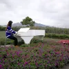 Avatar 3