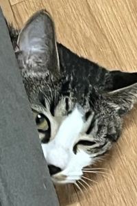 DEENEEE 호텔 아쿠아 펠리스 쿠폰