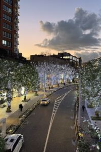 SSSCarpediemSSS 星野集團 界 別府優惠