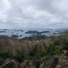 ppittagi