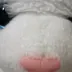 Ujo